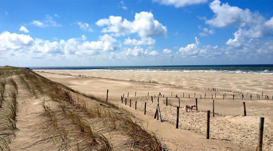 Beach Chalet Tranquilo Petten Kültér fotó